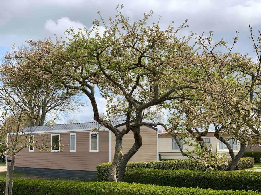 Gezellig Chalet In Het Mooie Zeeland - Oostkapelle Buitenkant foto